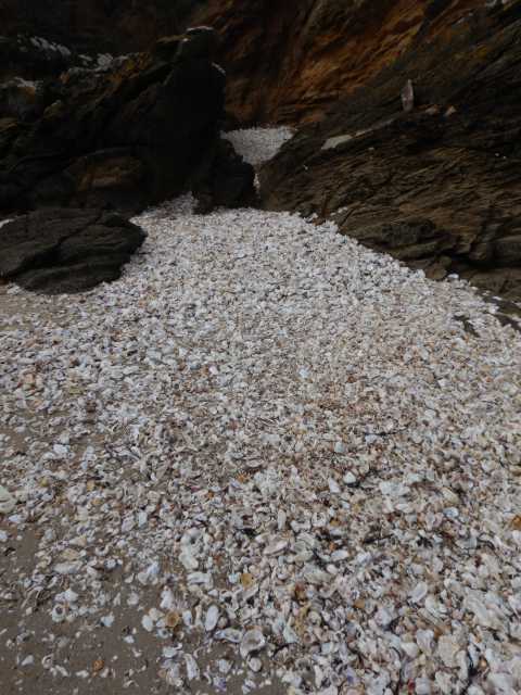 DSCN4778.JPG