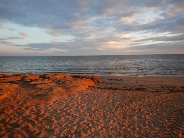DSCN4786.JPG