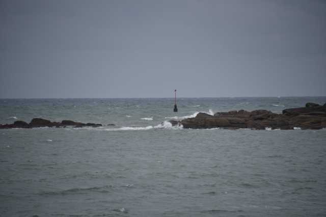 DSC_4455.JPG