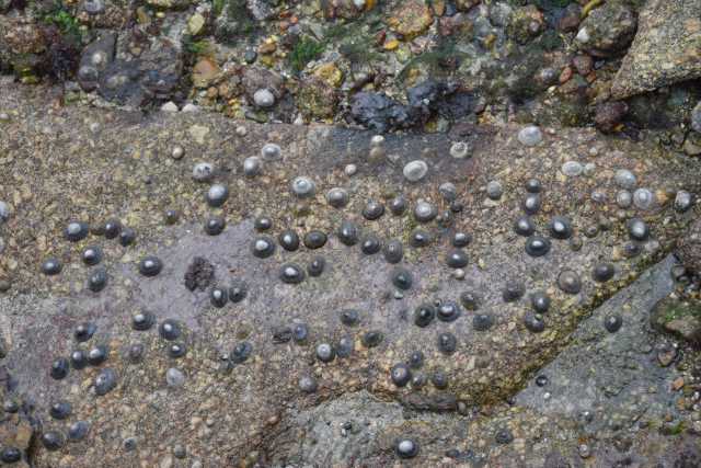 DSC_4465.JPG