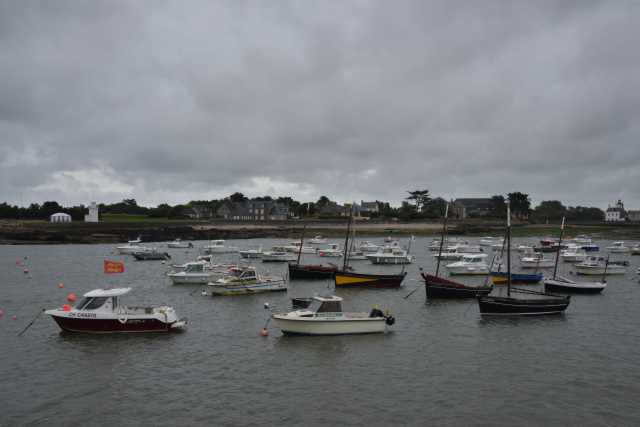 DSC_4469.JPG