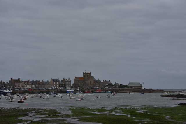 DSC_4477.JPG