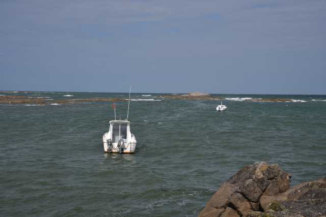 DSC_4502.JPG