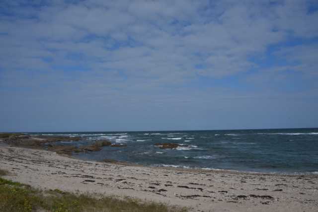 DSC_4506.JPG