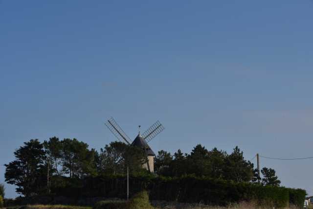 DSC_4527.JPG