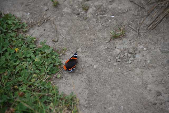 DSC_4543.JPG