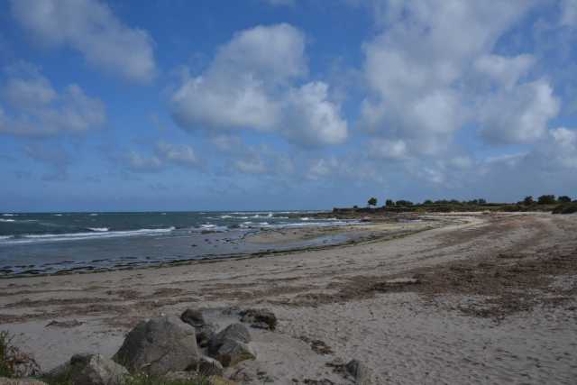 DSC_4551.JPG