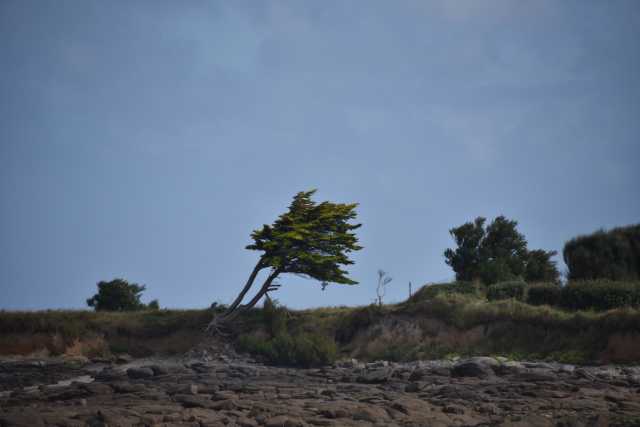 DSC_4553.JPG