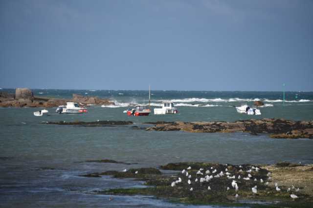 DSC_4569.JPG