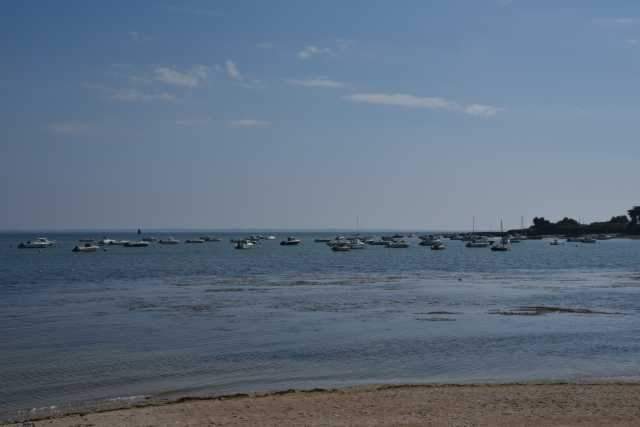 DSC_4577.JPG