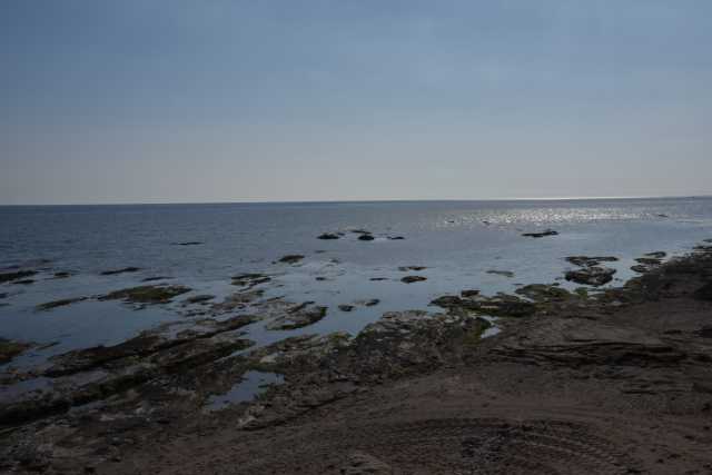 DSC_4587.JPG
