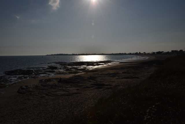 DSC_4596.JPG