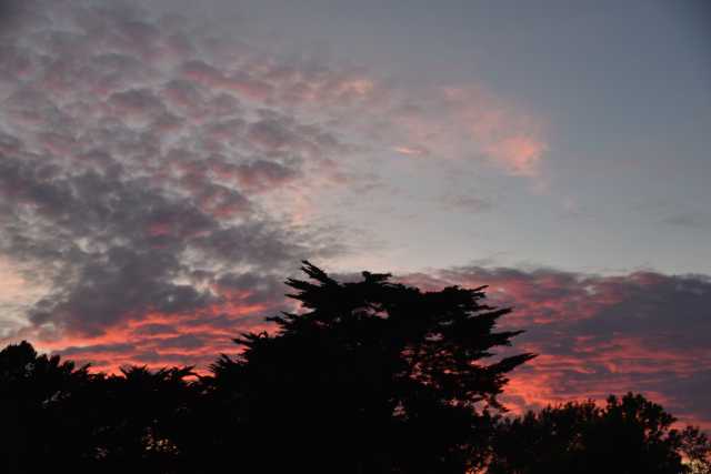 DSC_4603.JPG