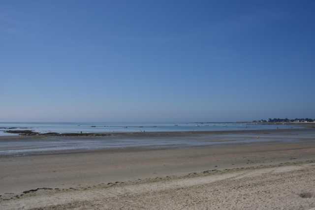 DSC_4606.JPG