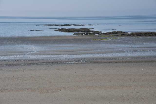 DSC_4607.JPG