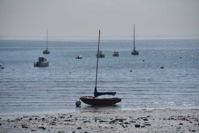 DSC_4612.JPG