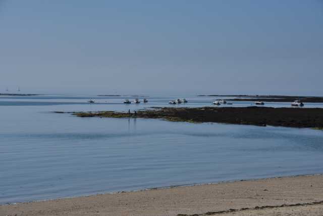 DSC_4616.JPG
