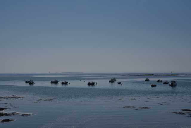 DSC_4619.JPG