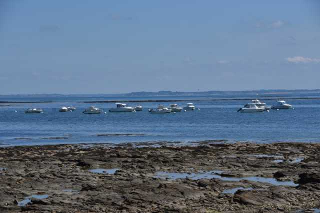 DSC_4628.JPG