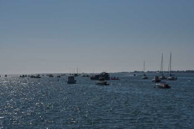 DSC_4649.JPG