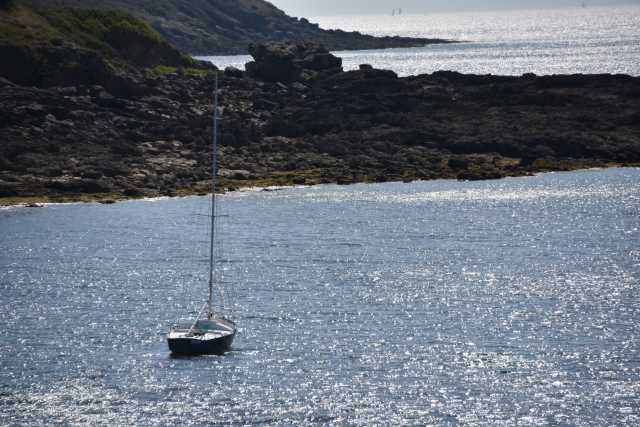 DSC_4670.JPG