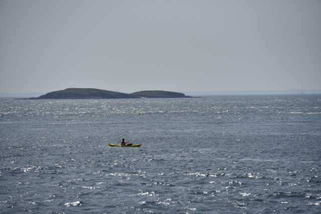 DSC_4693.JPG
