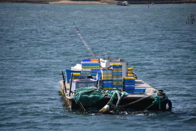 DSC_4698.JPG