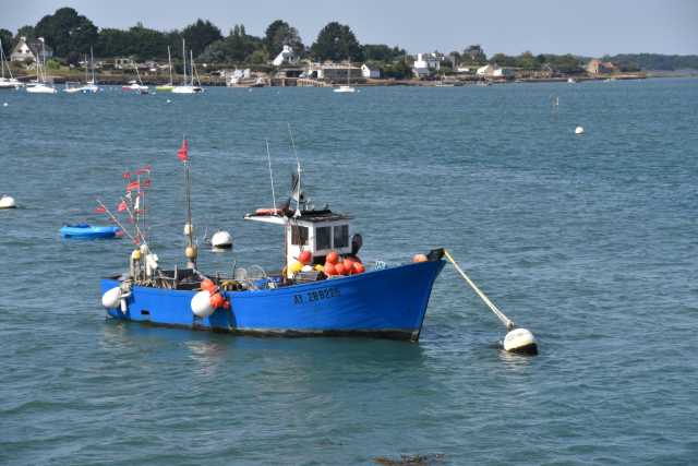 DSC_4706.JPG