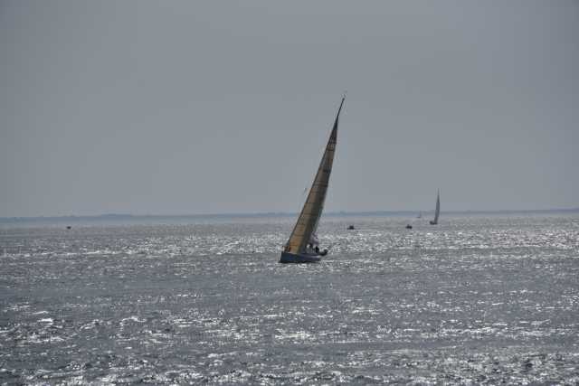 DSC_4714.JPG