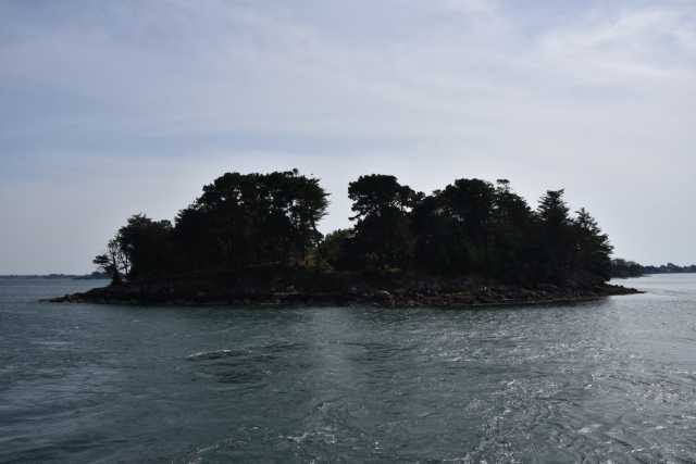 DSC_4722.JPG