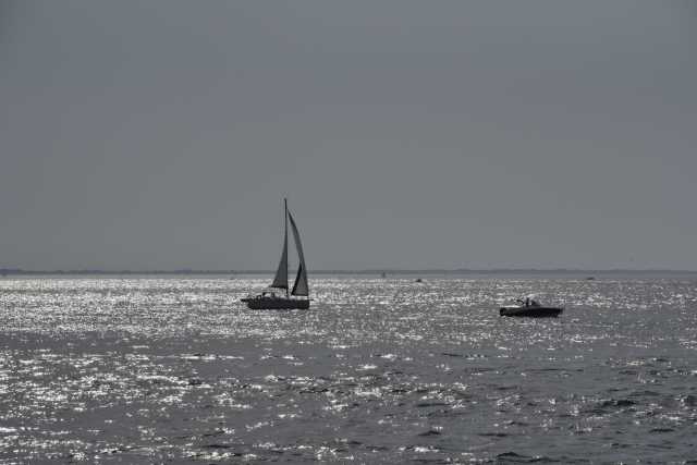 DSC_4749.JPG