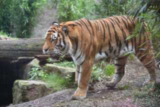 DSC_4280.JPG