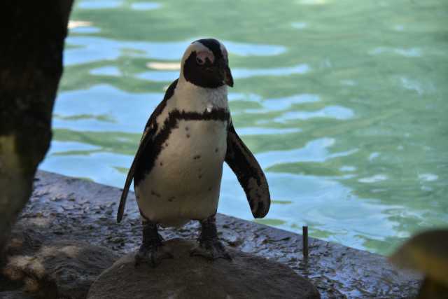 DSC_4406.JPG
