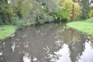 DSC_4842.JPG