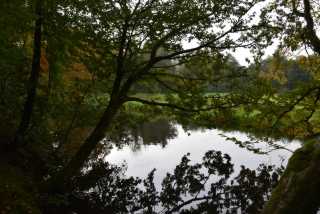DSC_4846.JPG