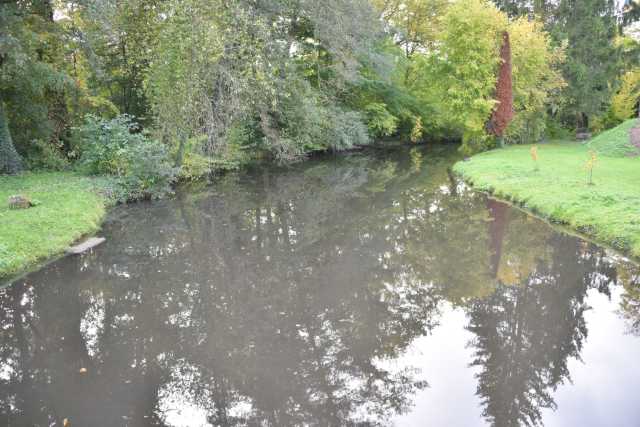 DSC_4842.JPG