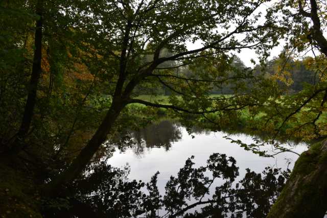 DSC_4846.JPG