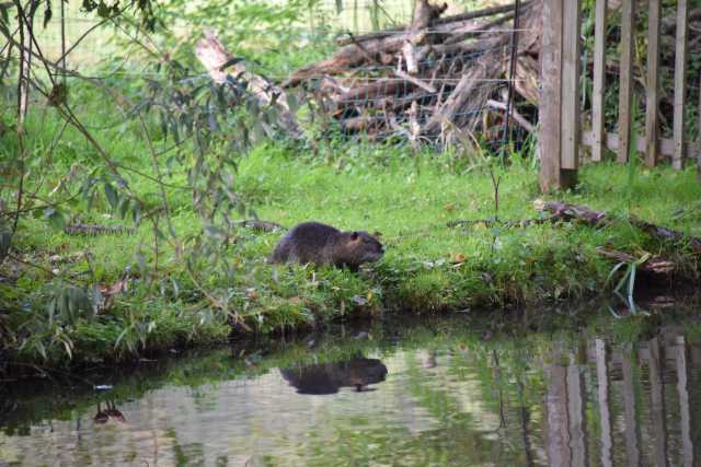 DSC_4847.JPG