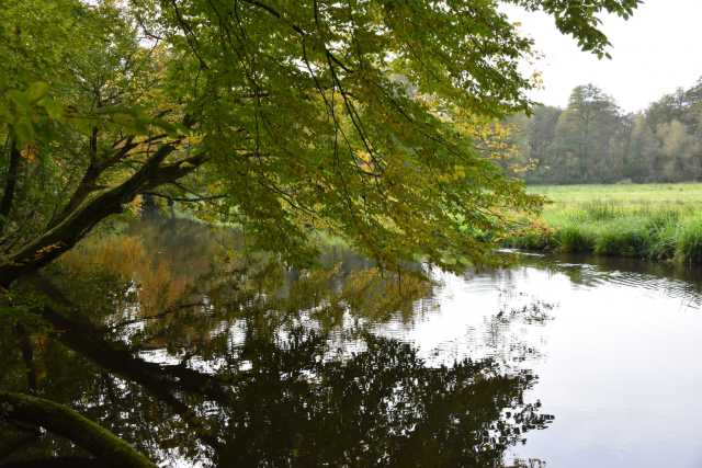 DSC_4850.JPG