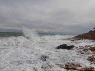 DSCN4908.JPG