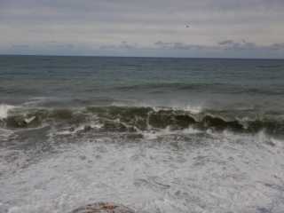 DSCN4919.JPG