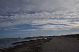 DSC_4919.JPG