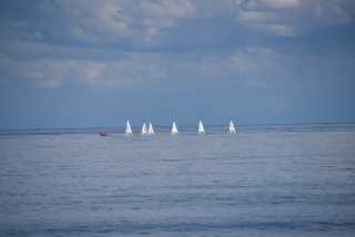 DSC_4932.JPG