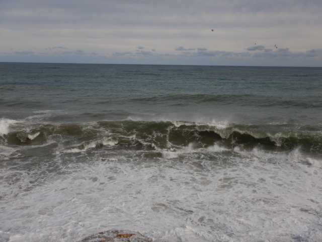 DSCN4919.JPG
