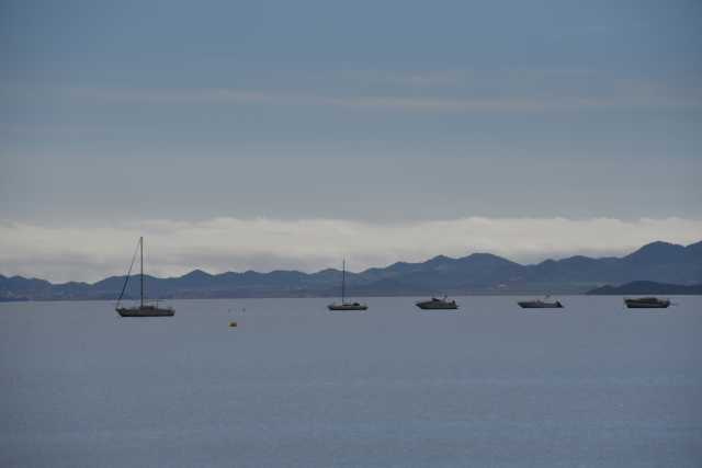 DSC_4893.JPG