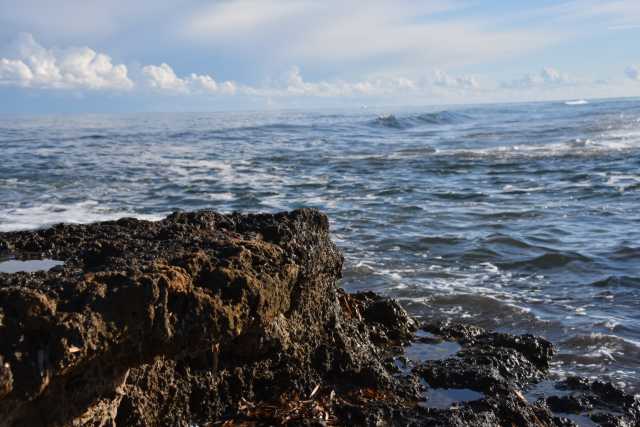 DSC_4940.JPG