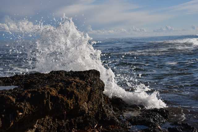 DSC_4941.JPG