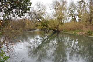 DSC_4973.JPG