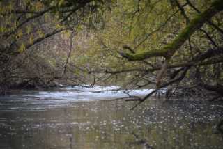 DSC_4974.JPG
