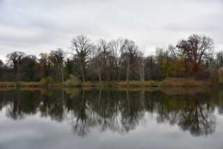 DSC_4983.JPG